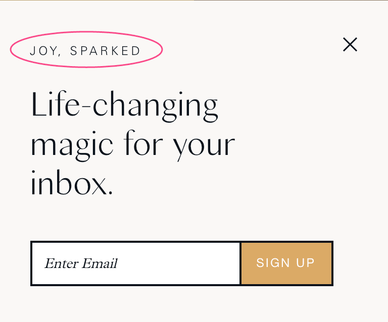 image of konmari website with accent text circle